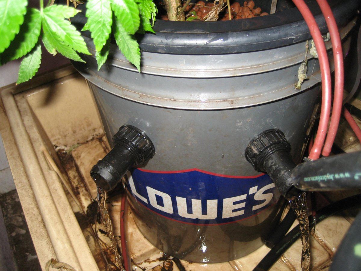 Pre mpd 5 lowes gallon veg buckets 4