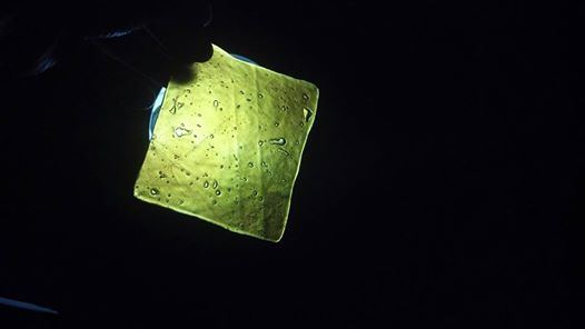 Prettyshatter