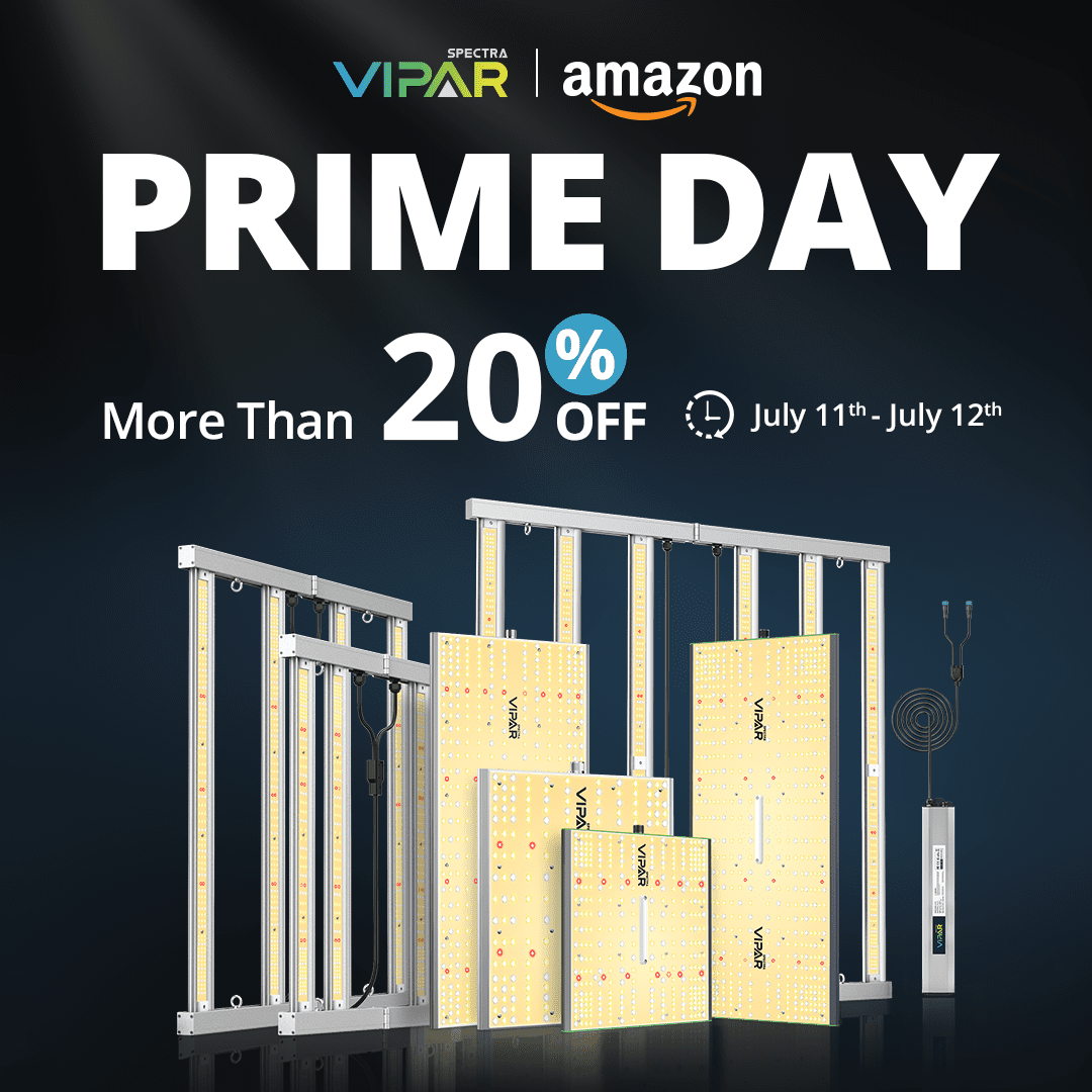 Prime day