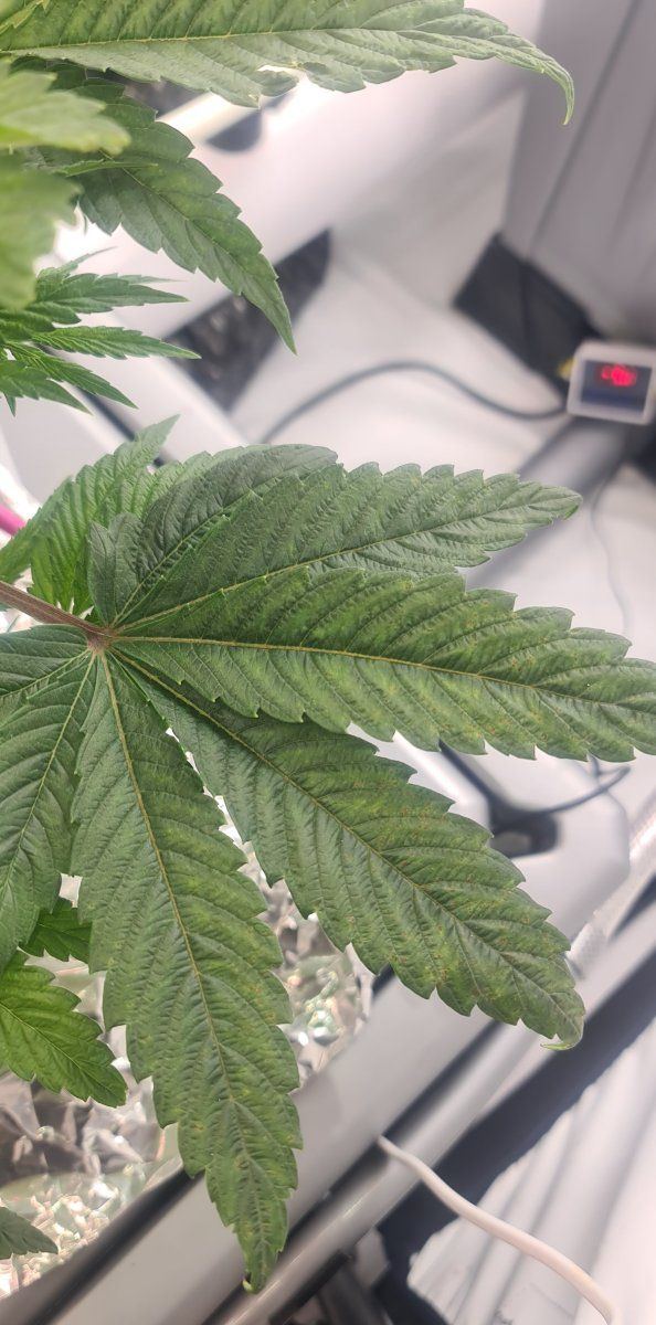 Problem with calcium ro water 3