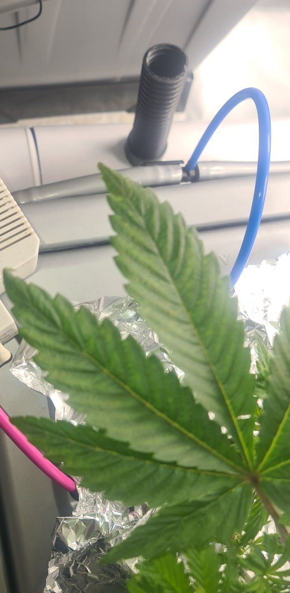 Problem with calcium ro water 4