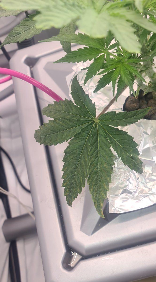 Problem with calcium ro water 5