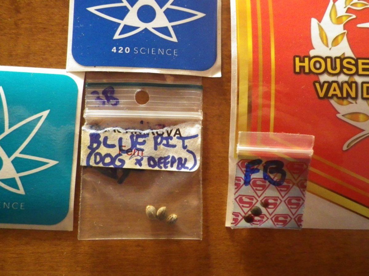 PRODUCTS AND BEANS 004