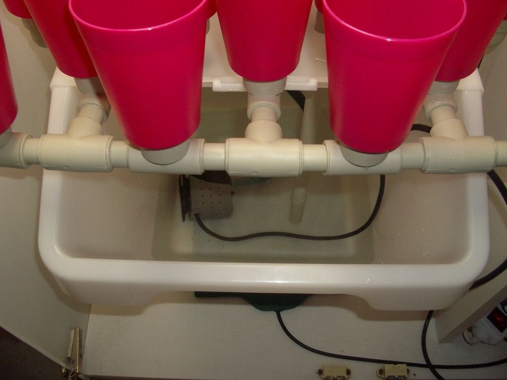 Propagator setup by realist 3