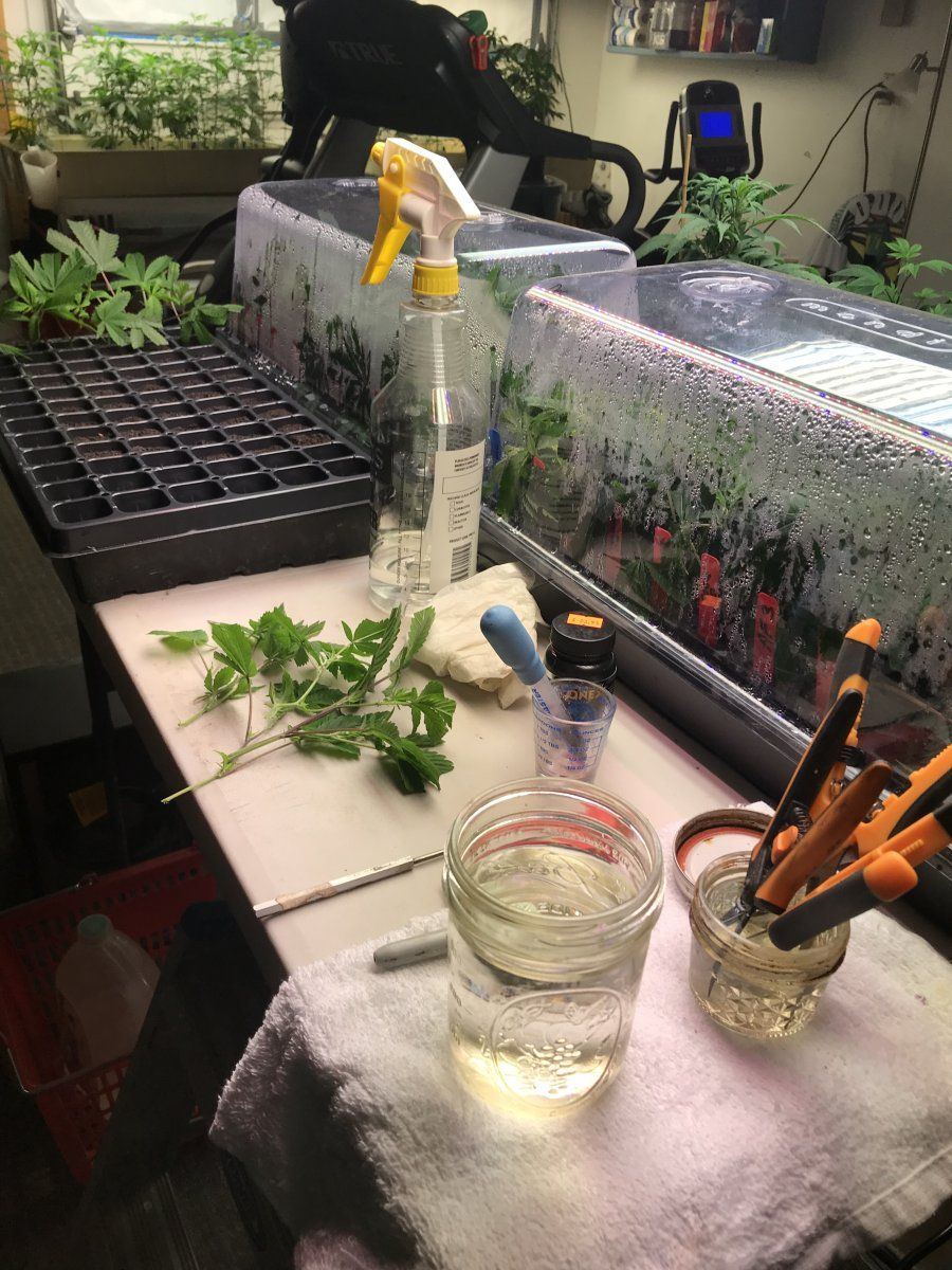Proper cloning etiquette and cleaning procedures 2