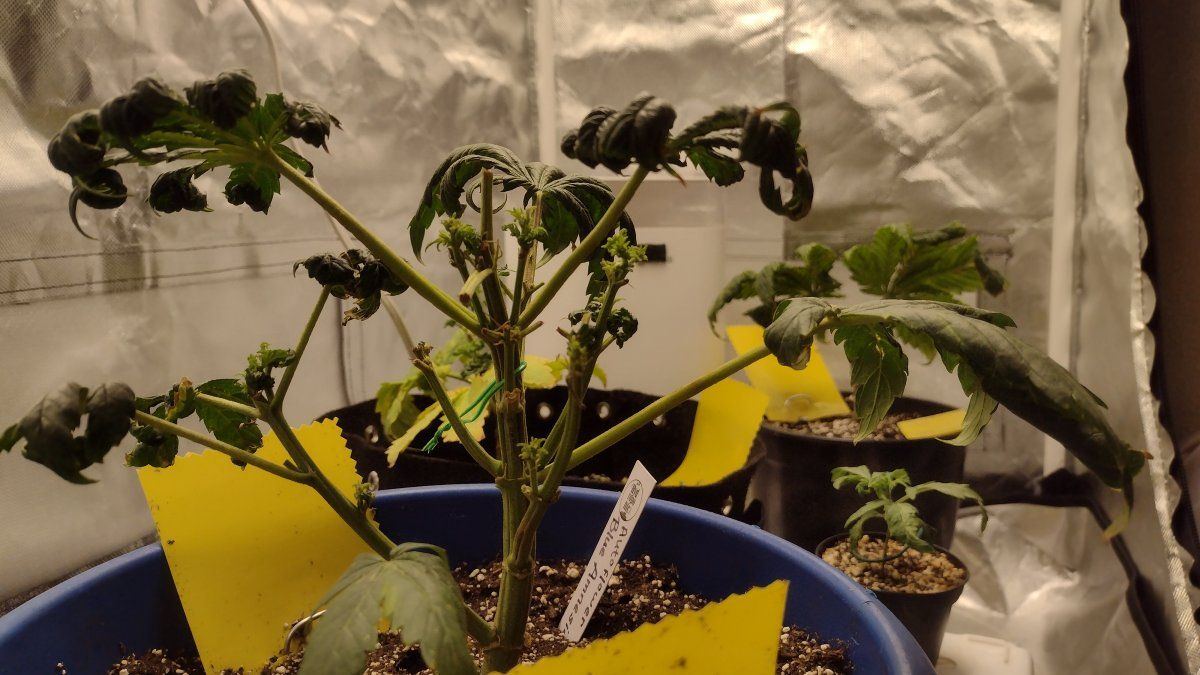Proper feeding and watering techniques 4