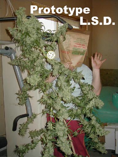 Prototype LSD w BOG