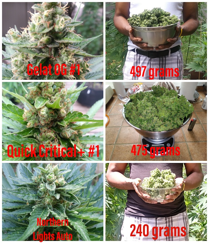 PSX 20200720 184356