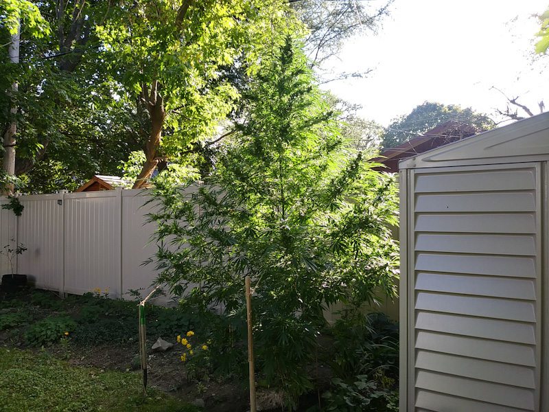 PSX 20200911 164657