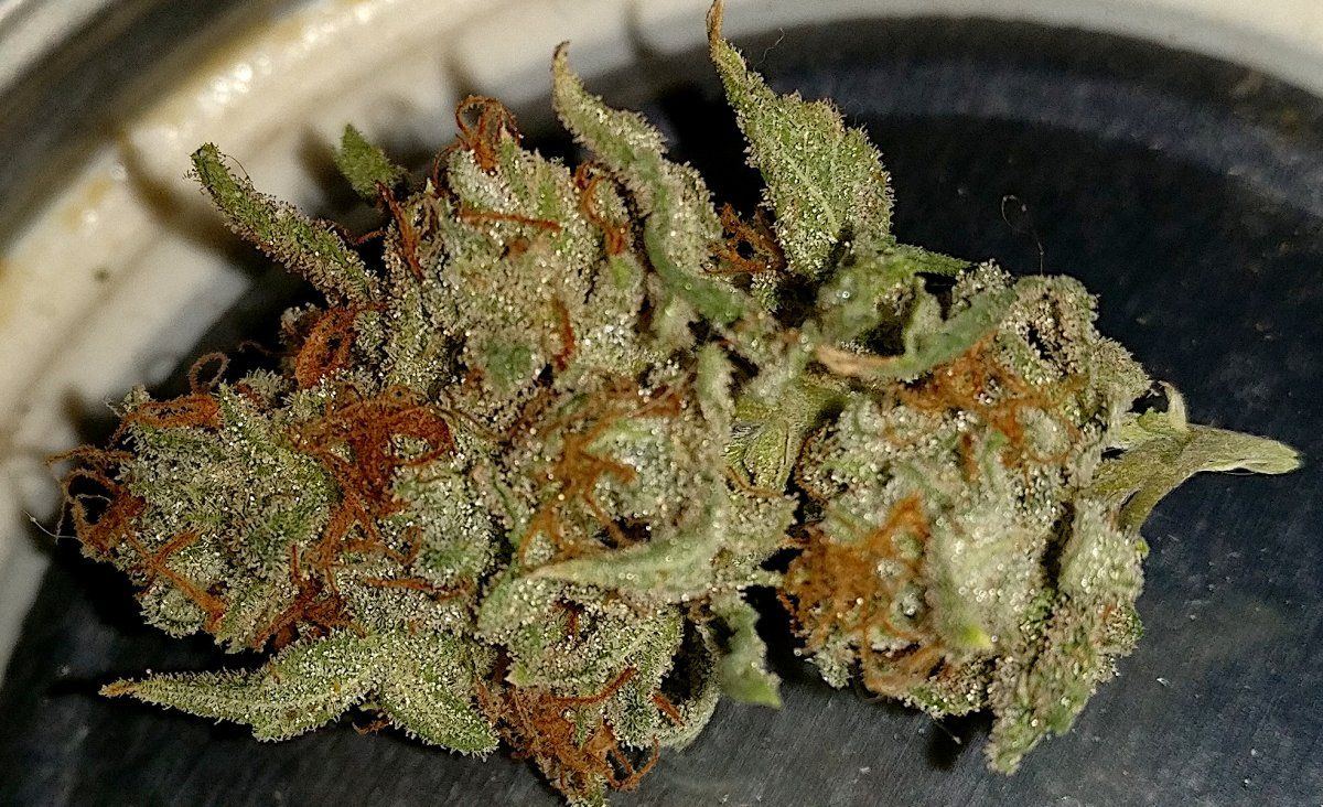 Puffs4
