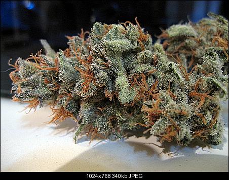 Pure Alien dry