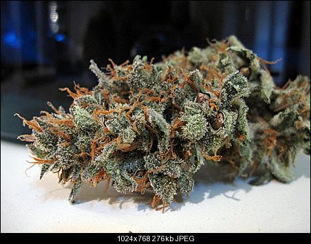 Pure Alien dry2