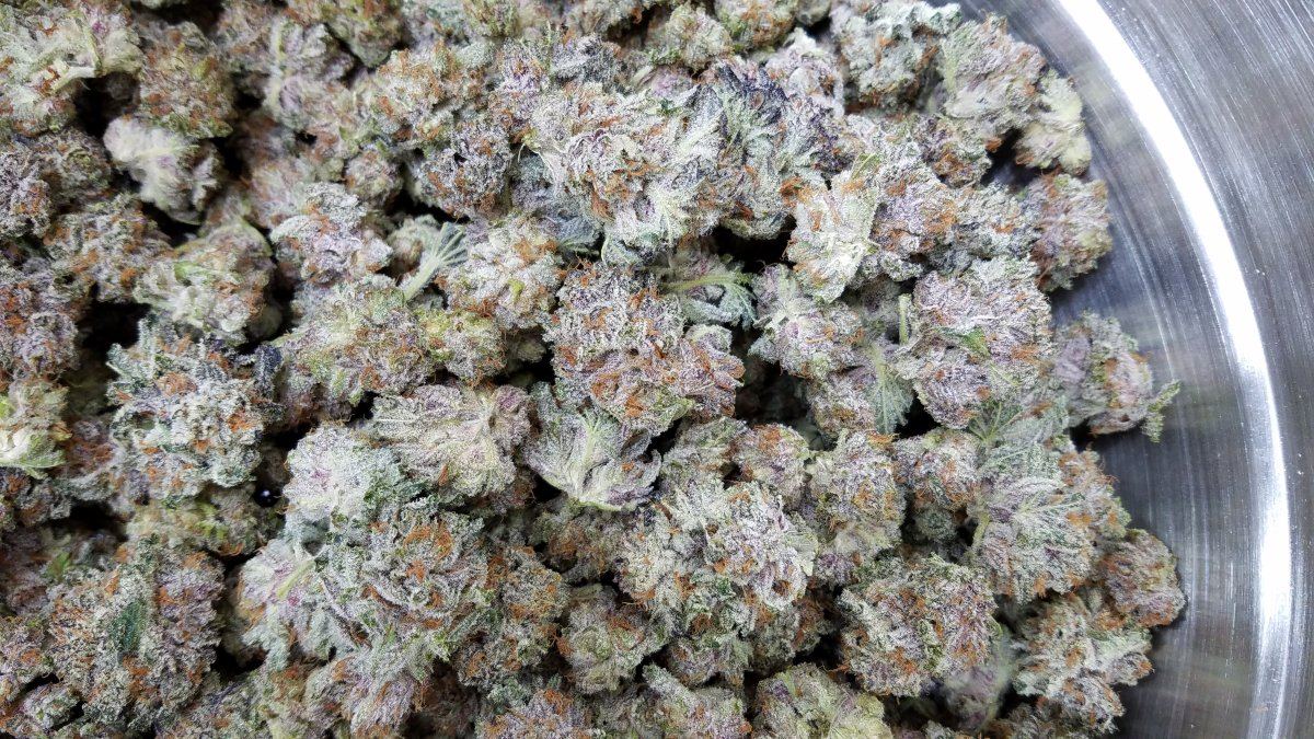 Purple Buds