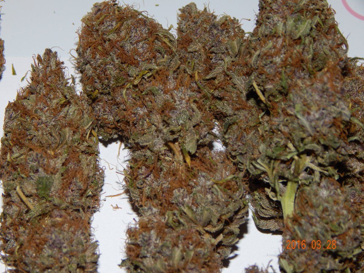 Purple cottan candy 006