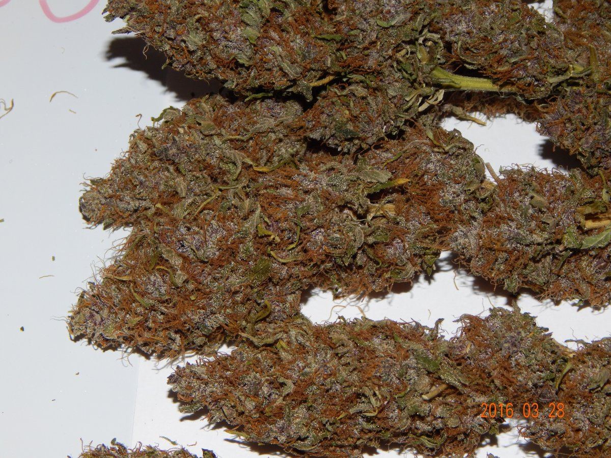 Purple cottan candy 007