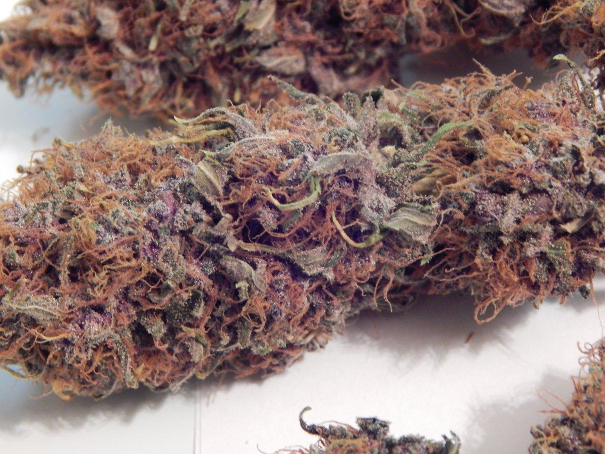 Purple cottan candy 010