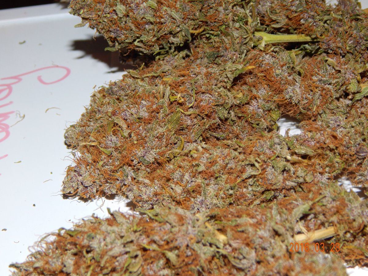 Purple cottan candy 013