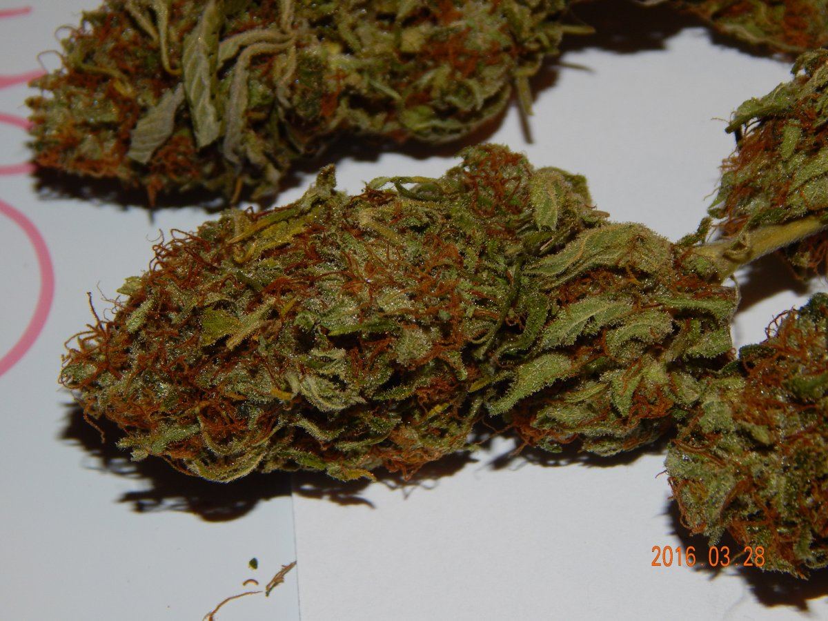 Purple cottan candy 016