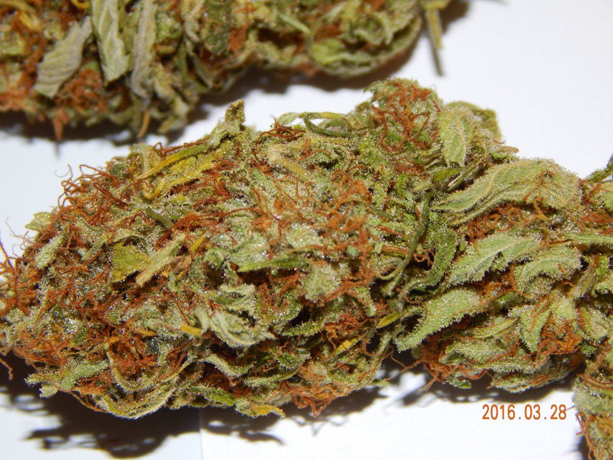 Purple cottan candy 017