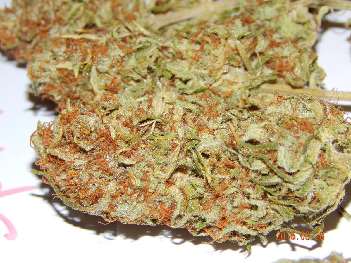 Purple cottan candy 018
