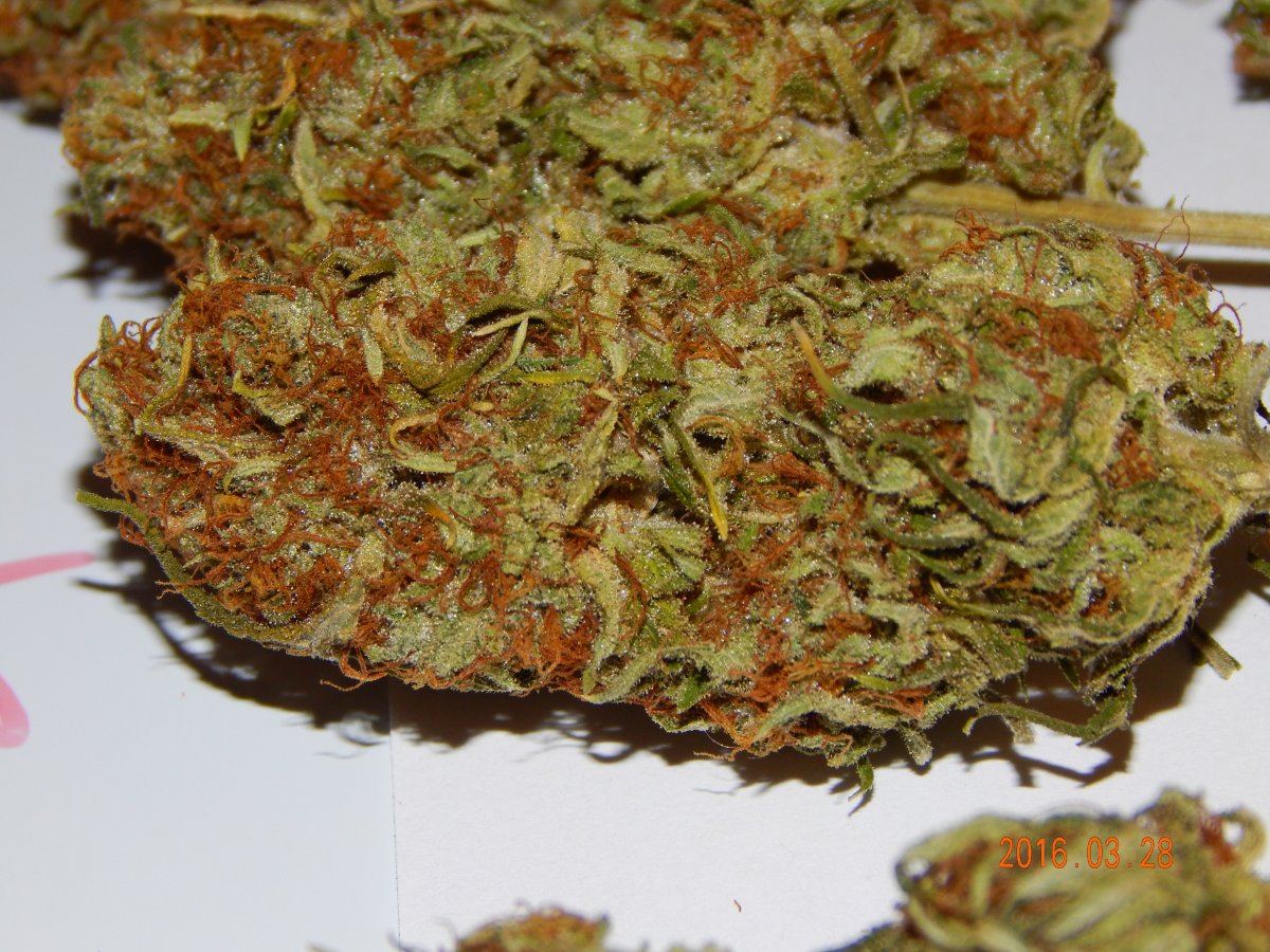 Purple cottan candy 019