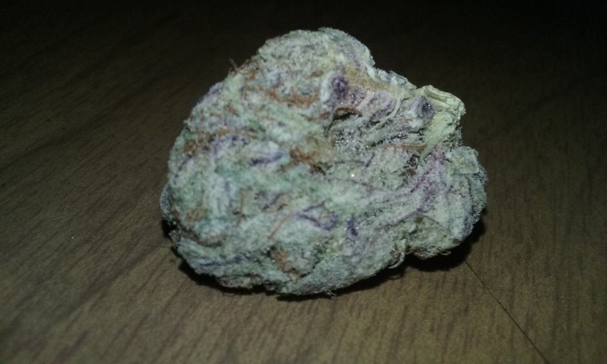 Purple dogshit