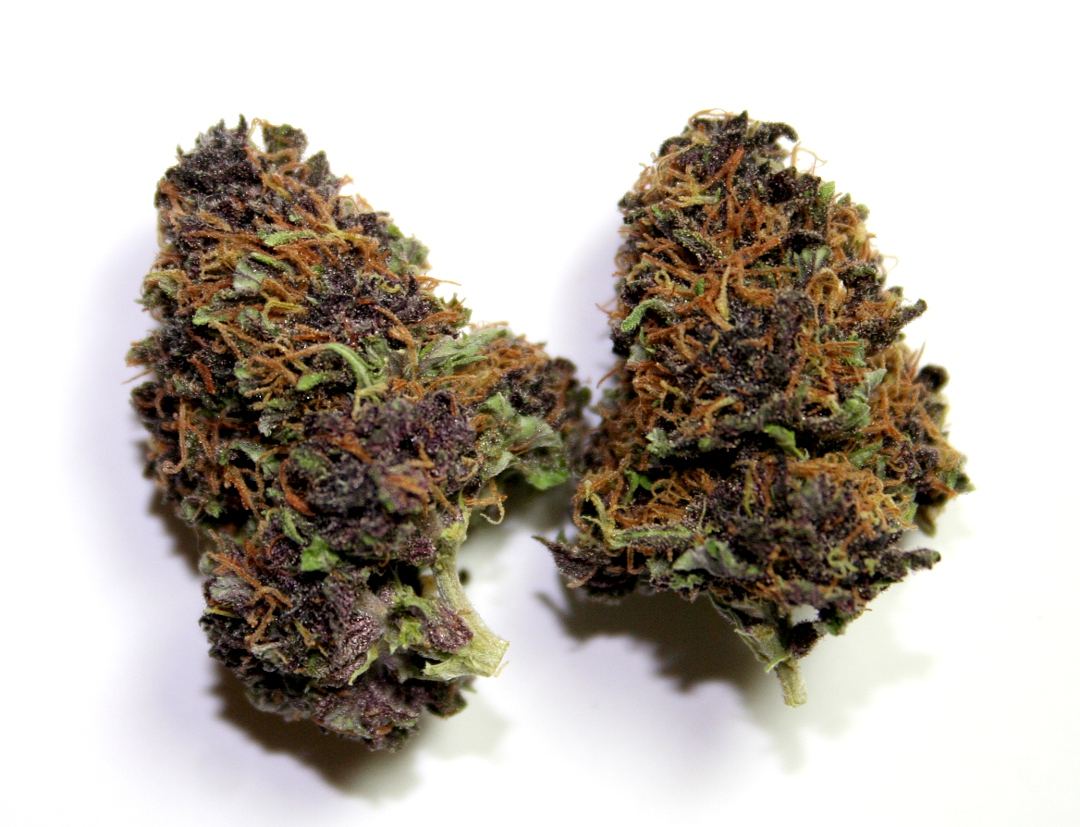Purplebuds