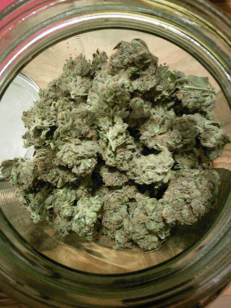 Purplejonescookiejar03zz