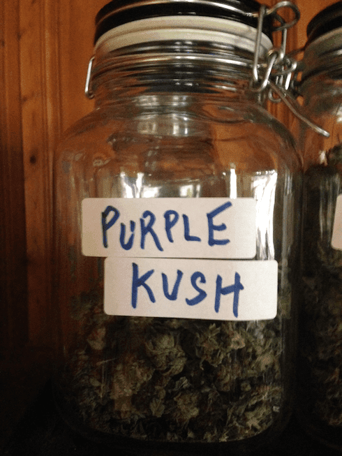 Purplekush