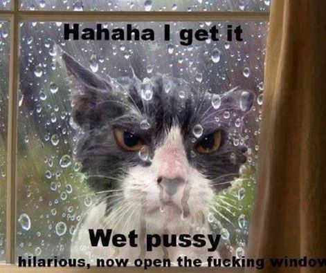 Pussy wet