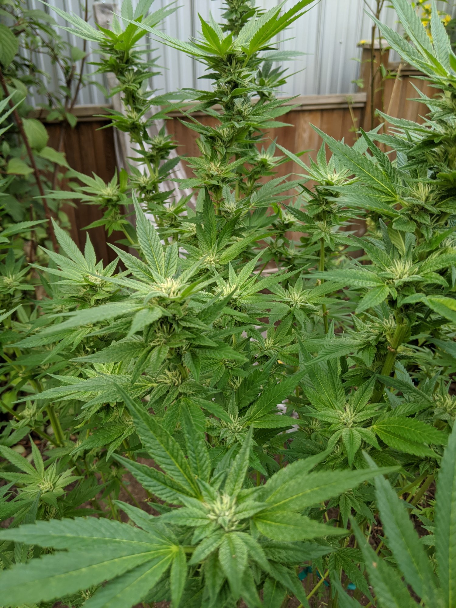 PXL 20200922 011748282