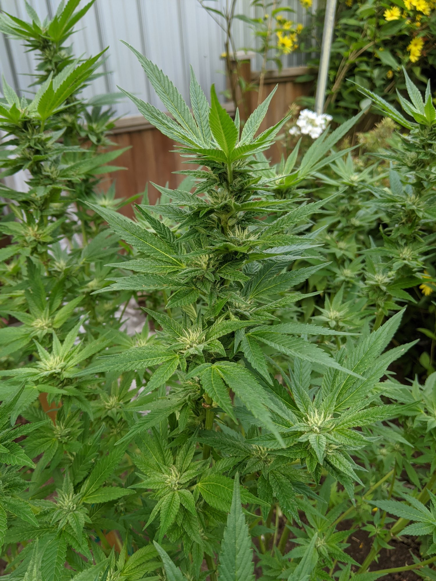 PXL 20200922 011752134