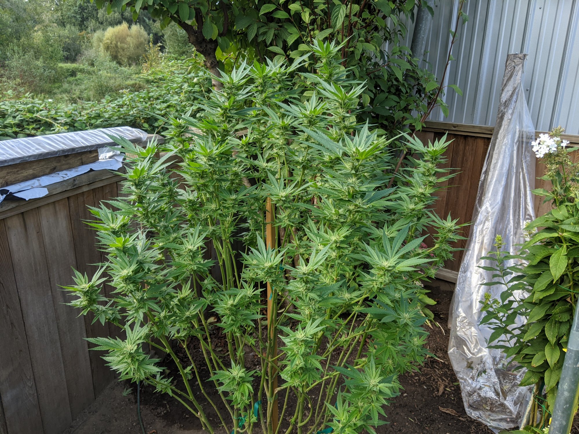 PXL 20200922 211731787