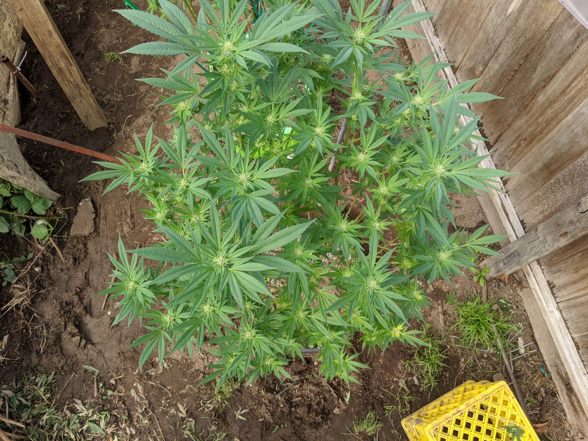 PXL 20200922 211755038