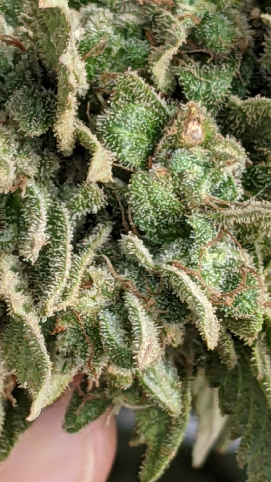 PXL 20201025 191029927