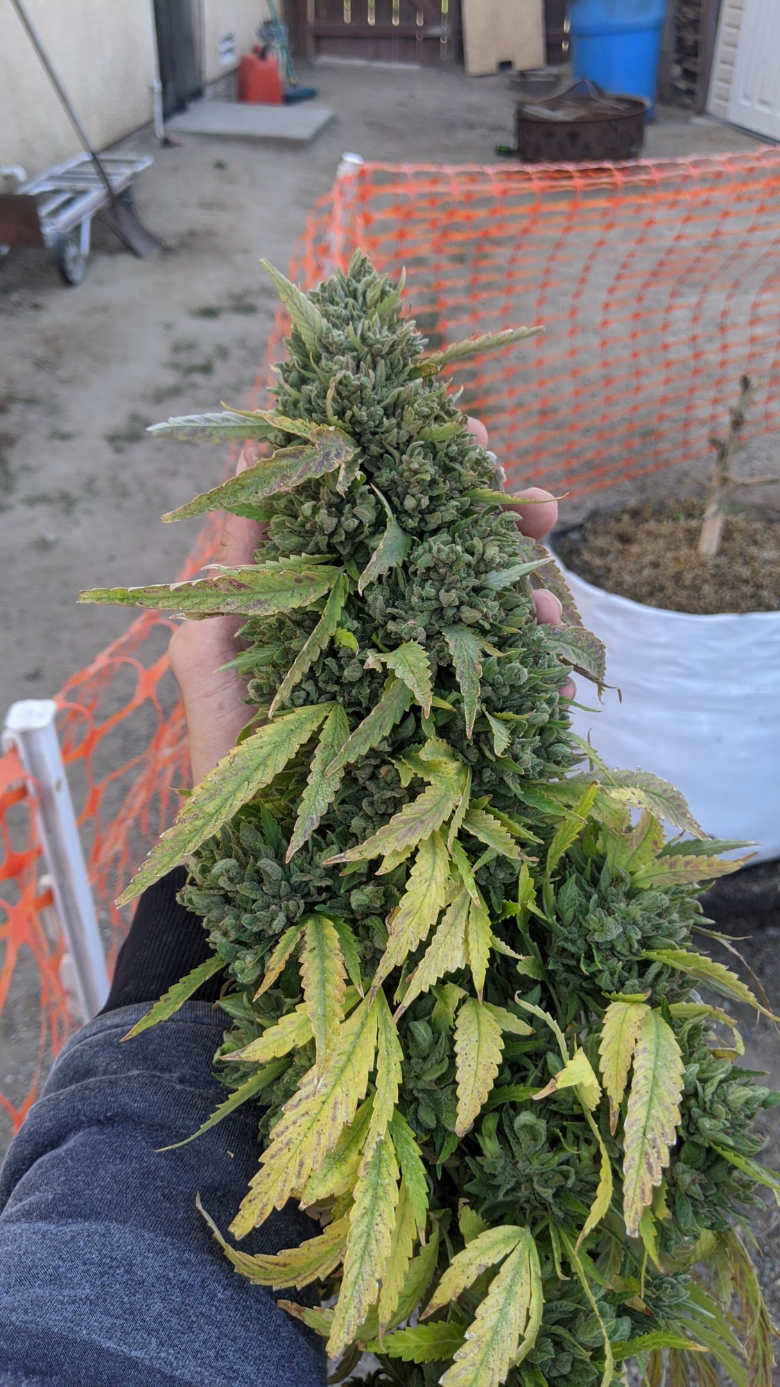 PXL 20201031 202847024