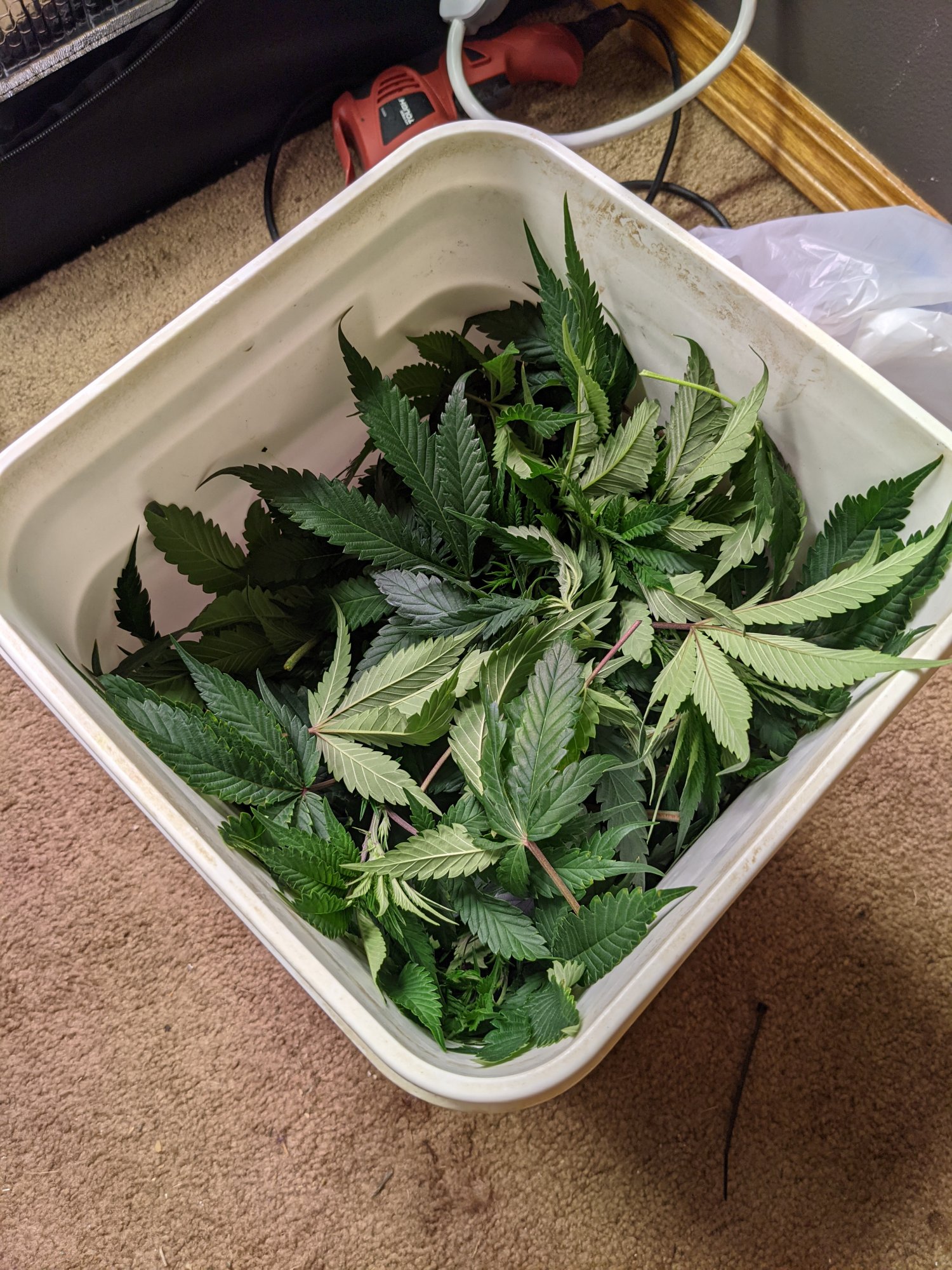 PXL 20210103 013025573