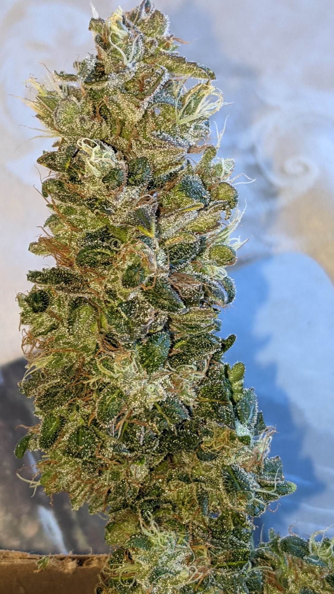 PXL 20210520 172744234