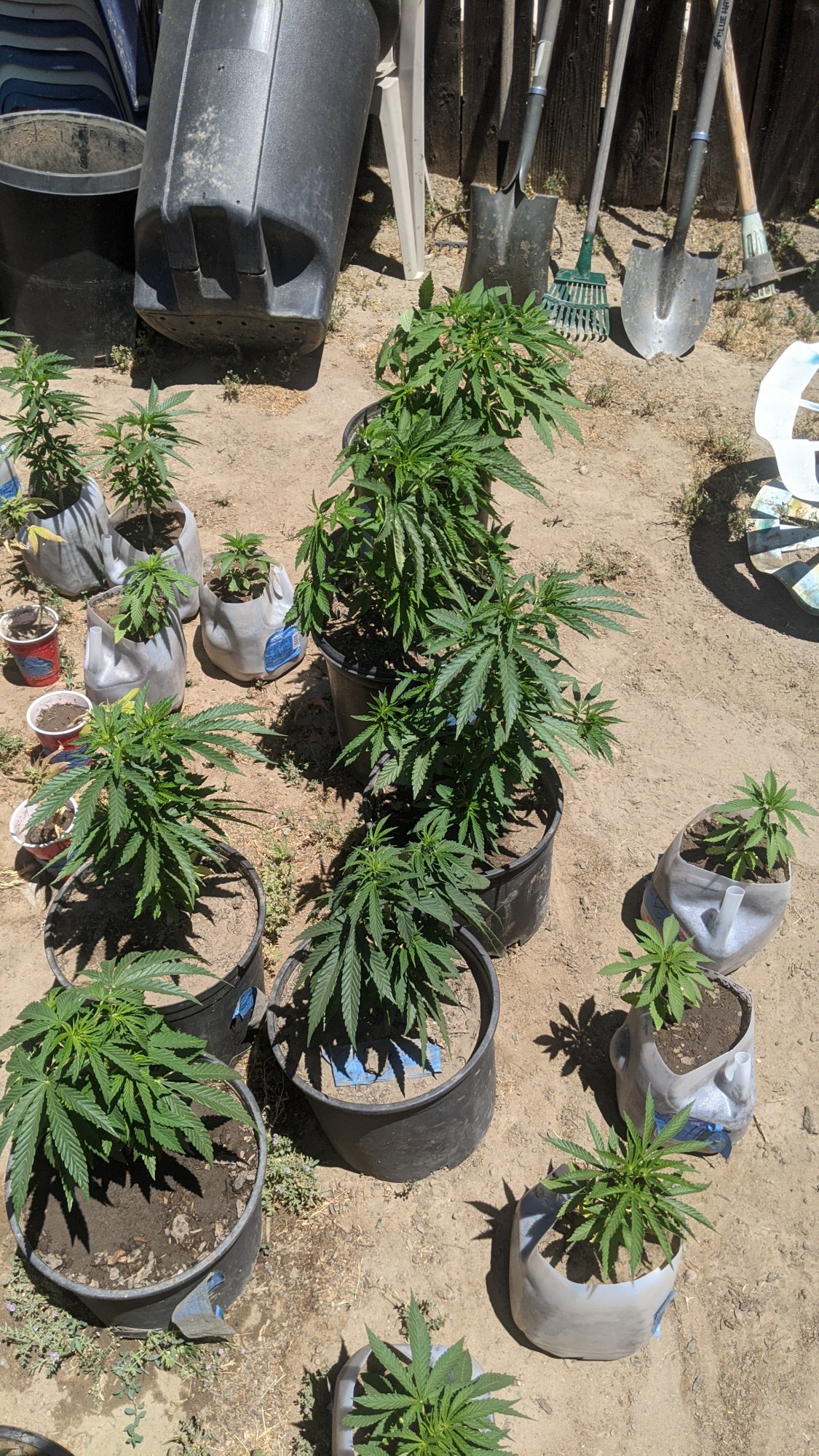 PXL 20210526 203151878