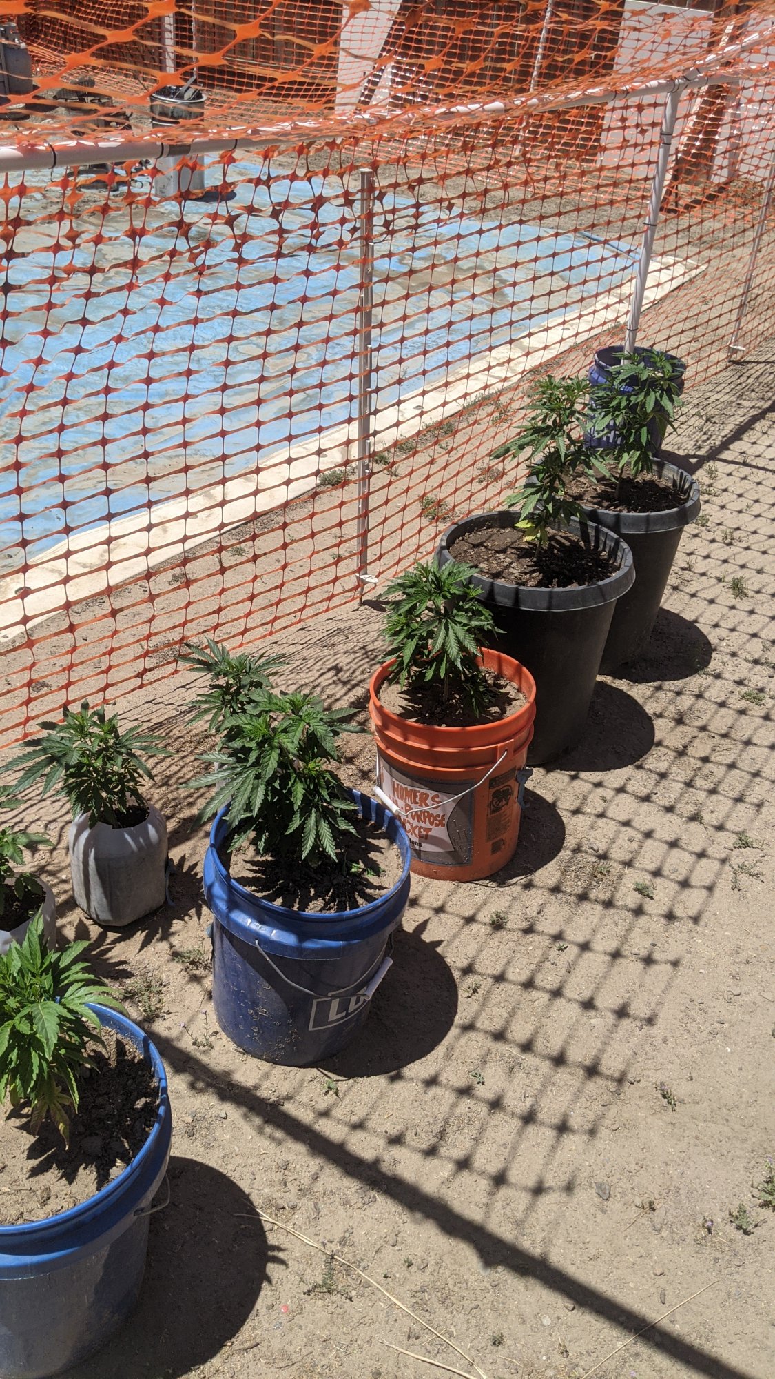 PXL 20210526 203225571
