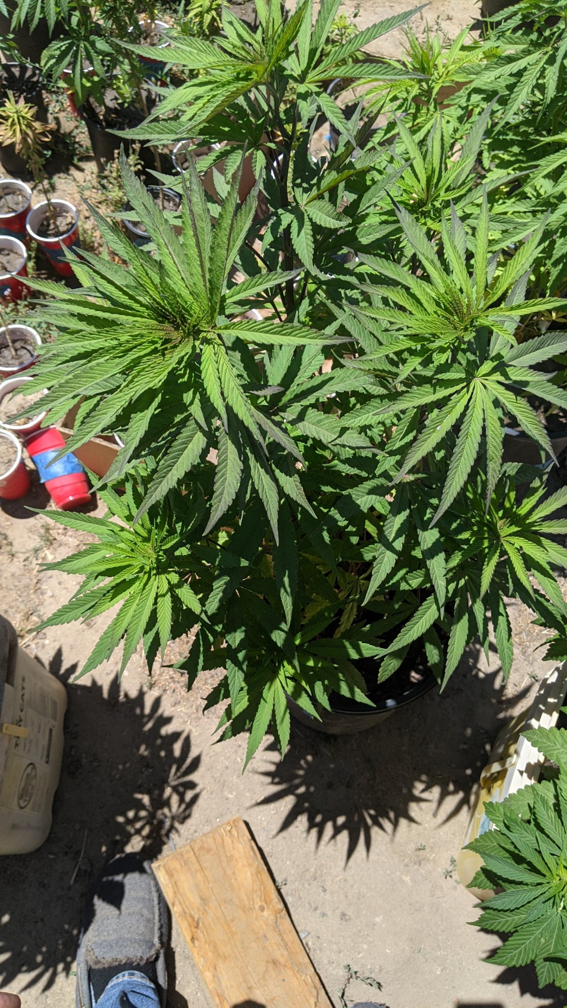PXL 20210611 201053956