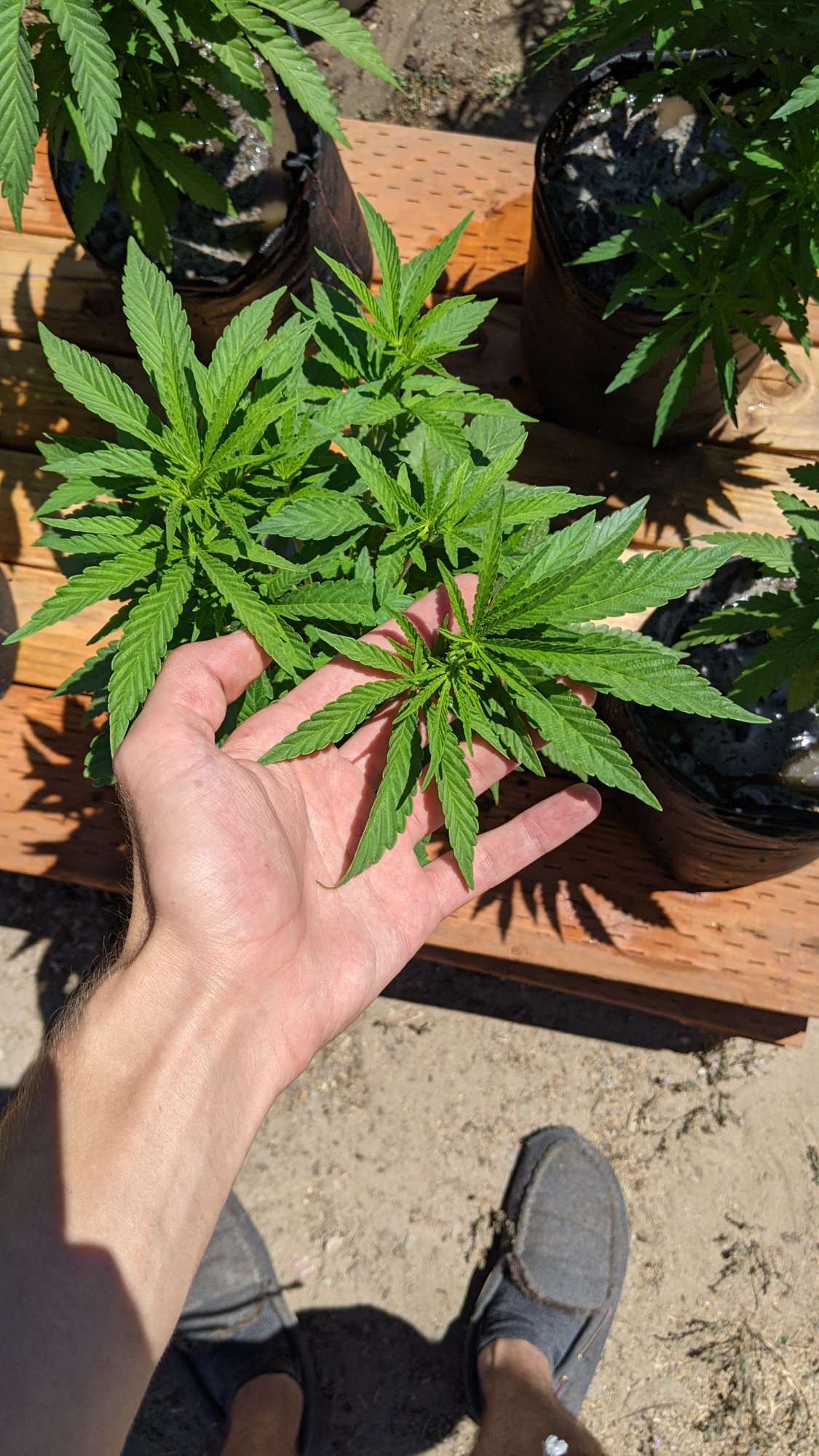 PXL 20210627 190647598