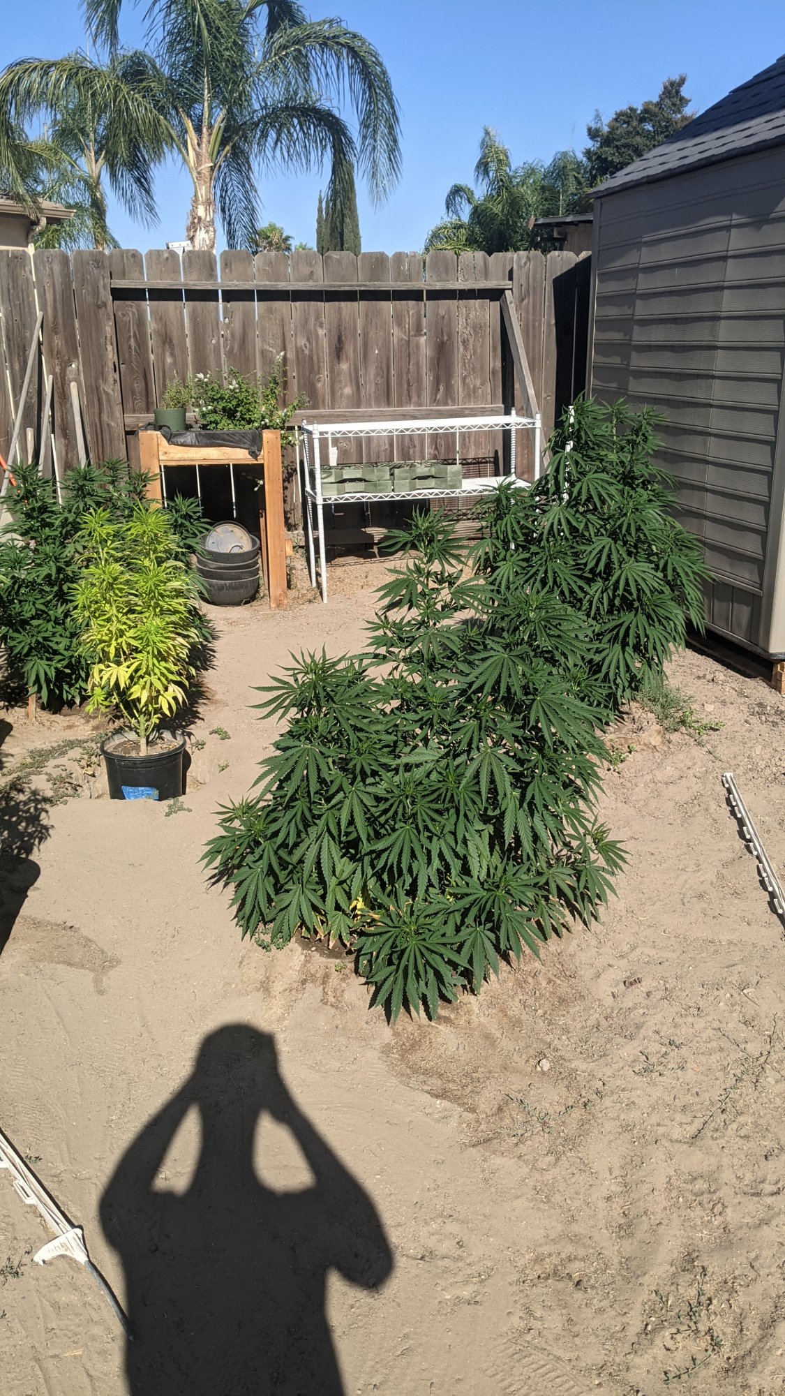 PXL 20210712 002445404