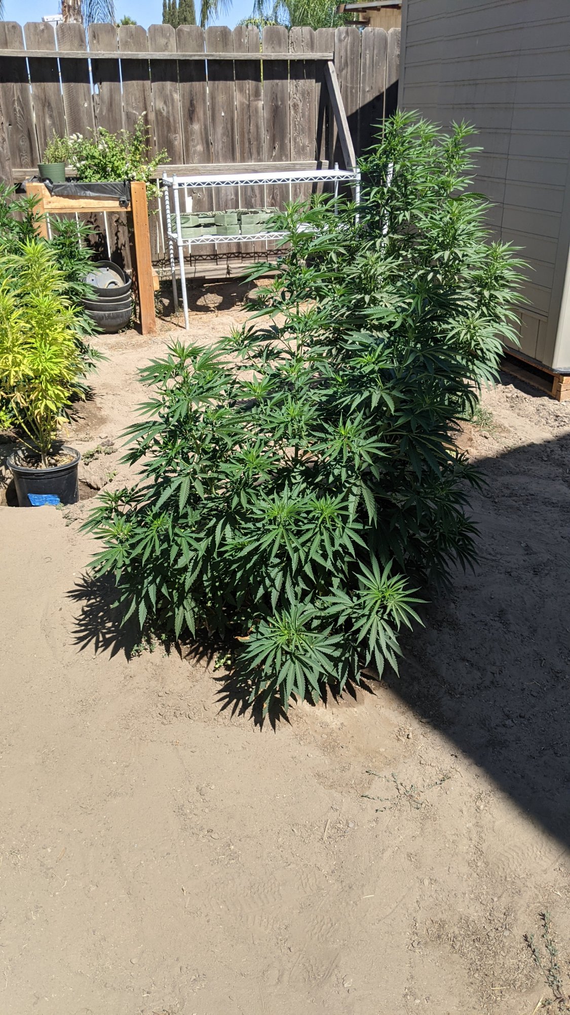 PXL 20210716 223819370