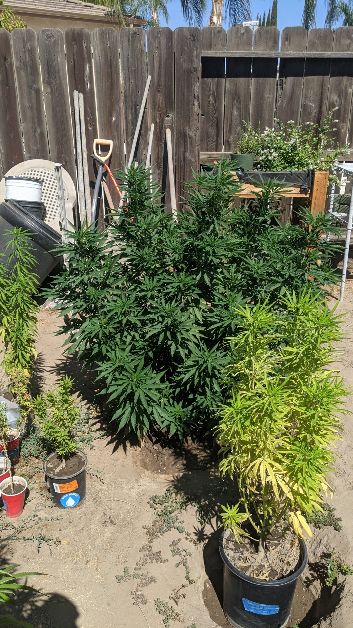 PXL 20210722 224333616