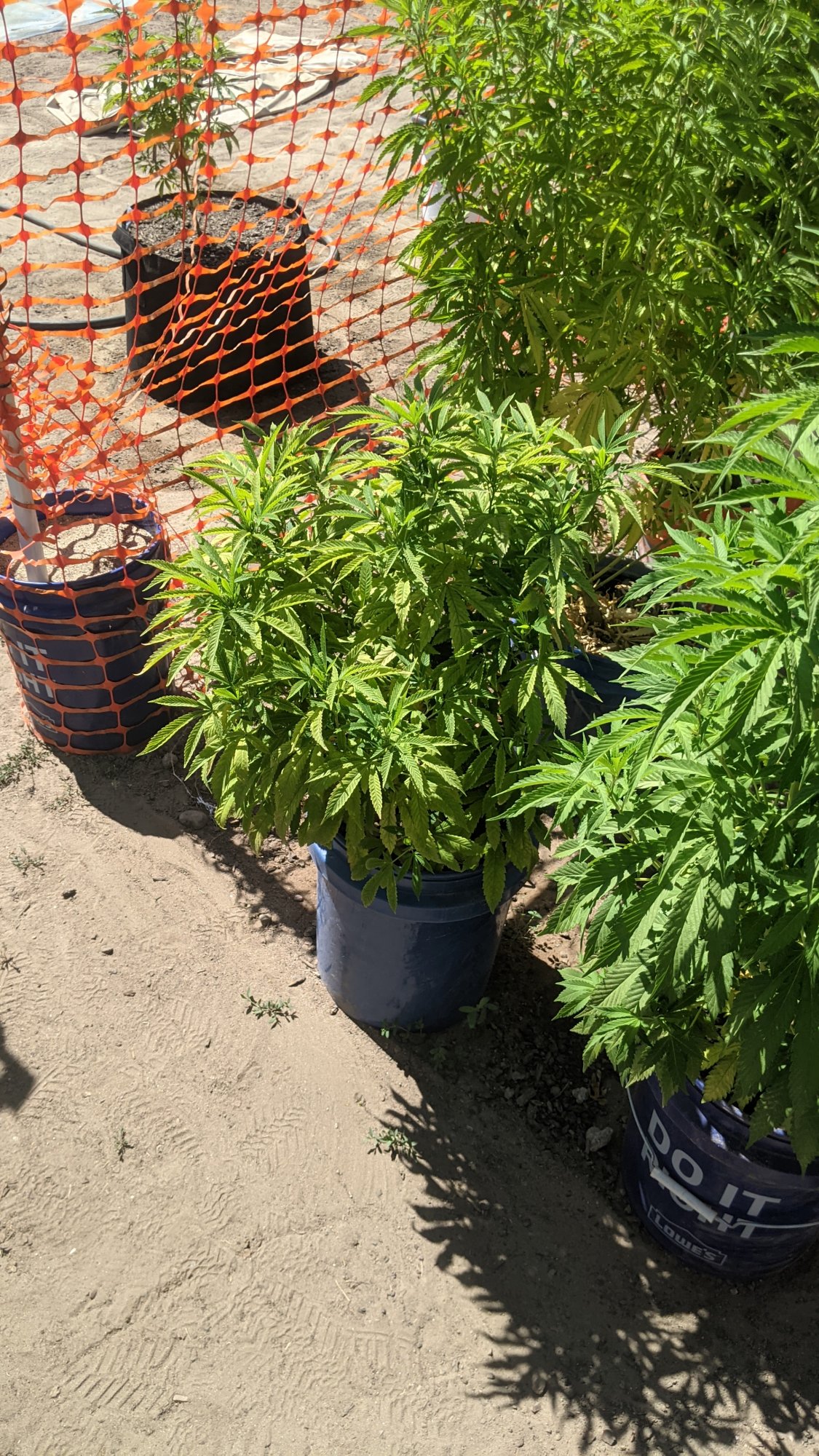 PXL 20210722 224352808