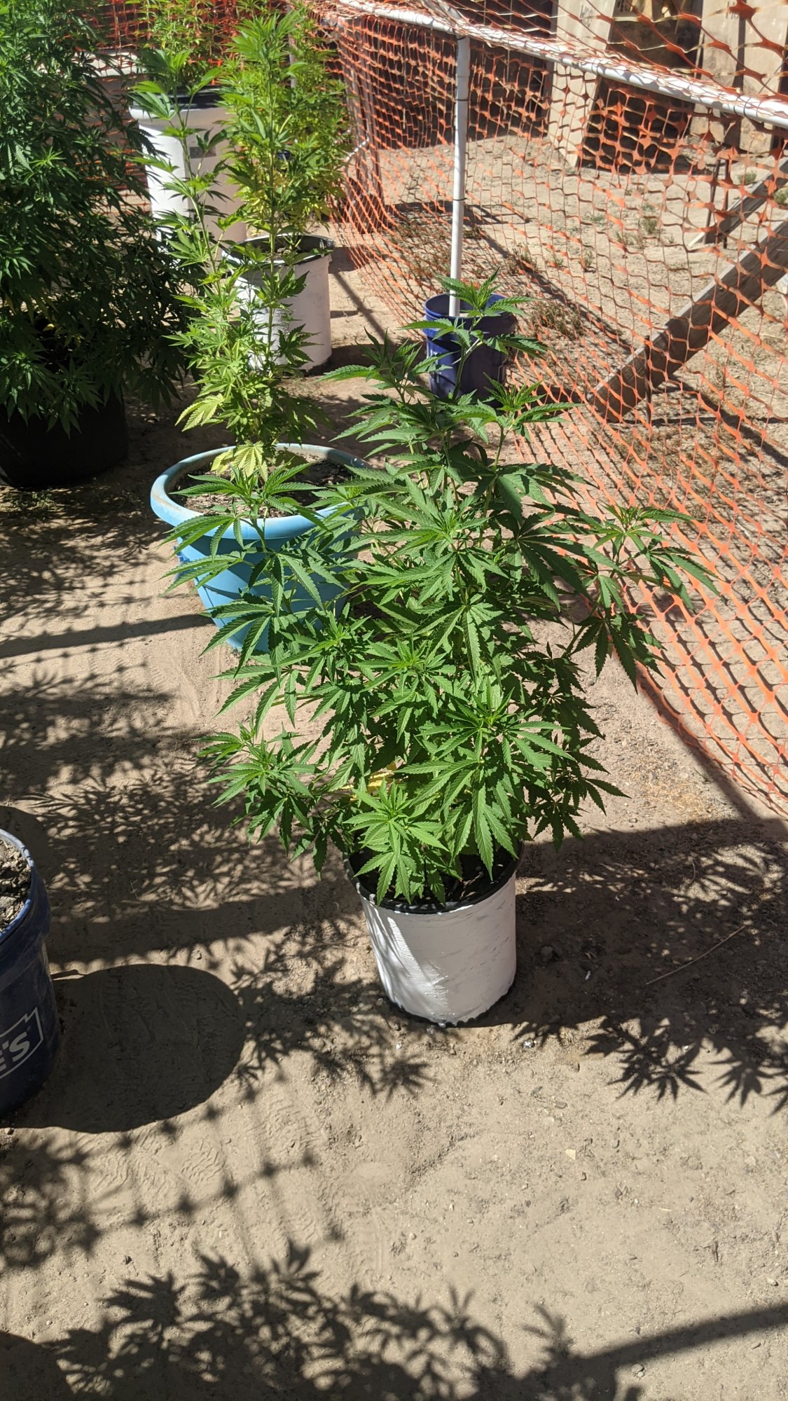 PXL 20210722 224359689