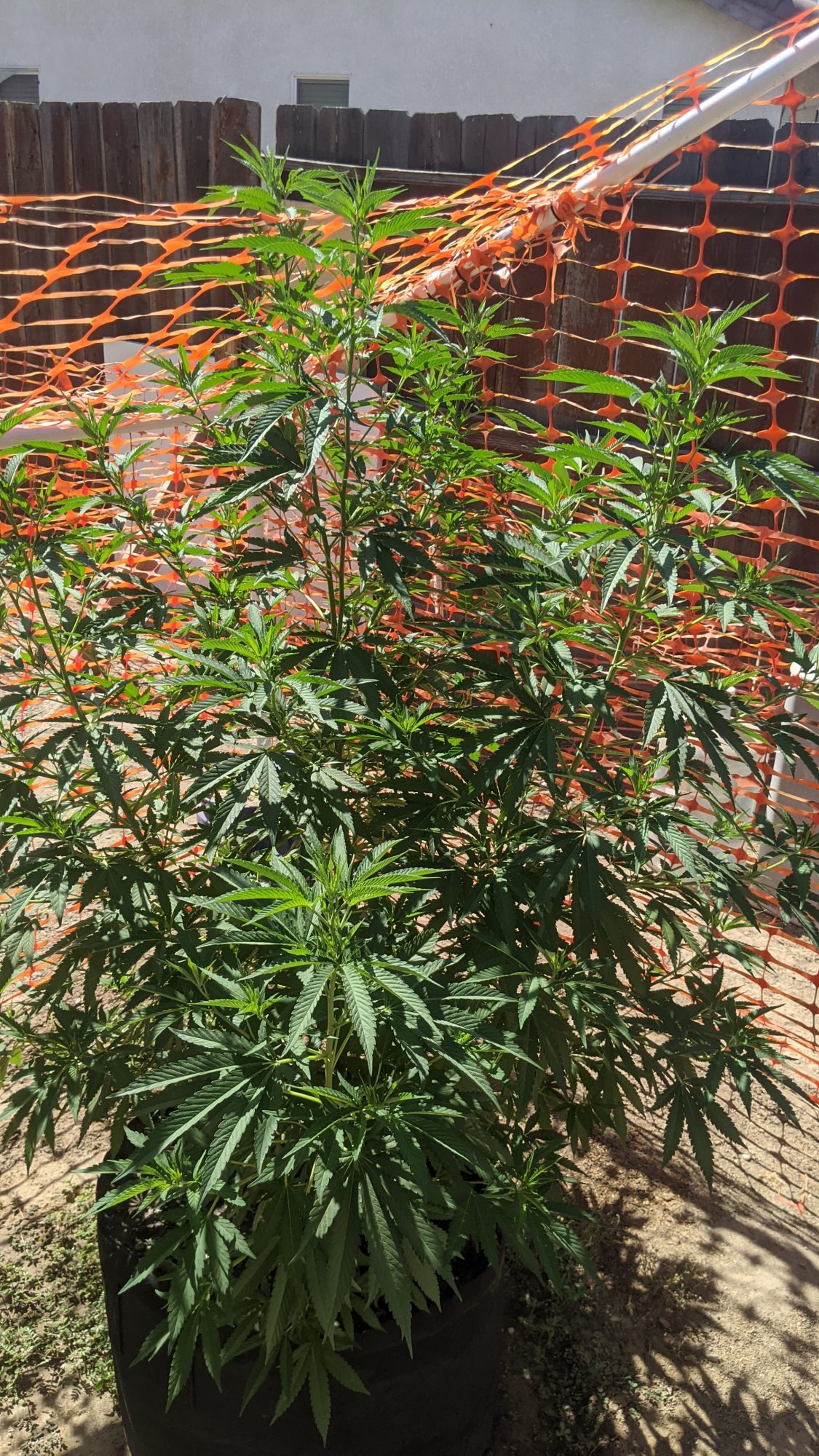 PXL 20210722 224440996