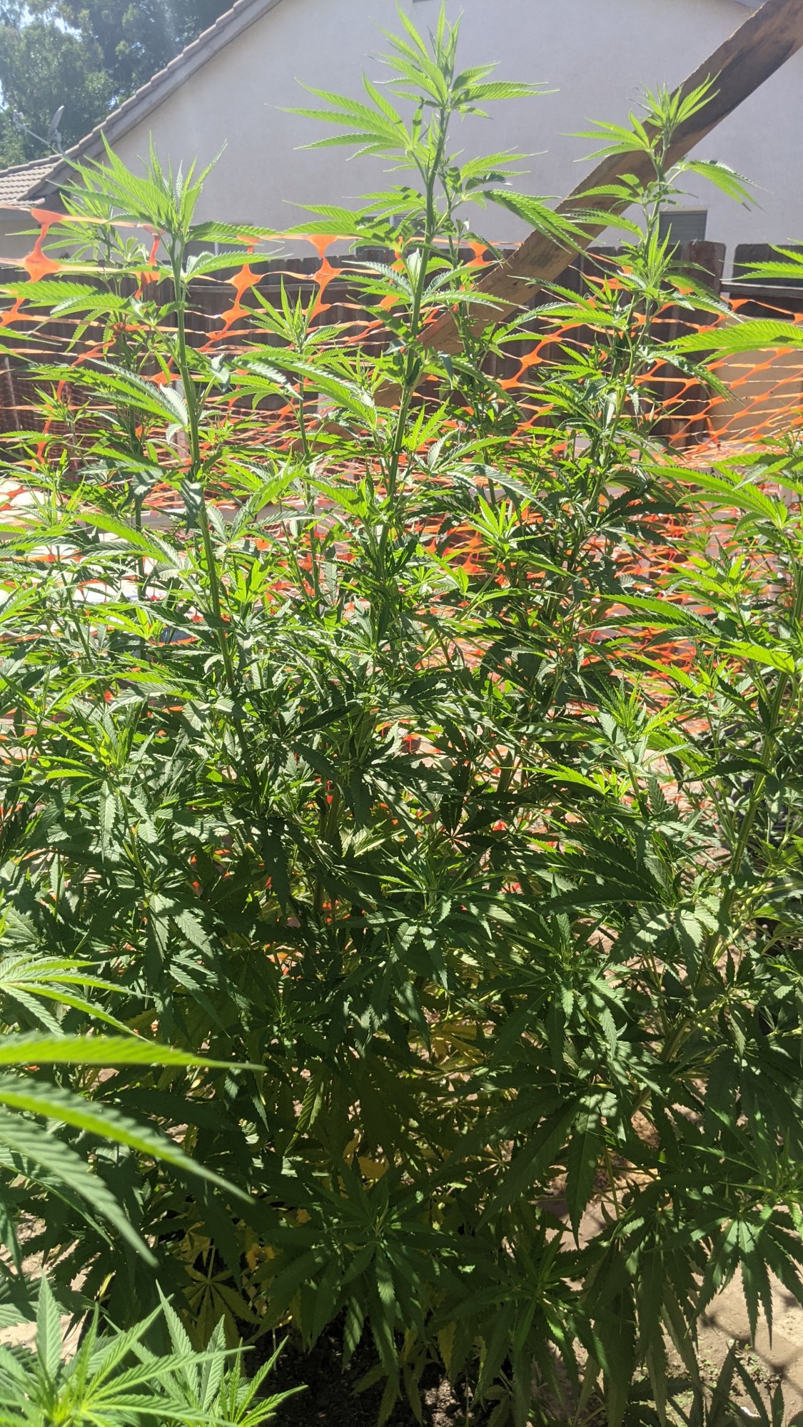 PXL 20210722 224448274