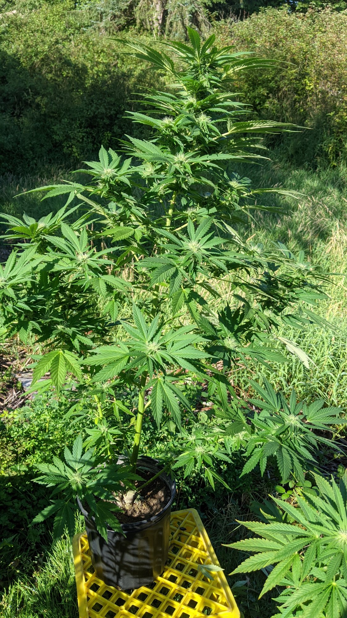 PXL 20210728 163024406
